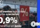Las ventas minoristas pyme crecieron 0,9% interanual en junio