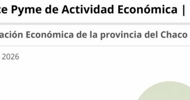 Índice Pyme de Actividad Económica (IPAE)