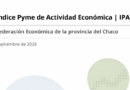 Índice Pyme de Actividad Económica (IPAE)