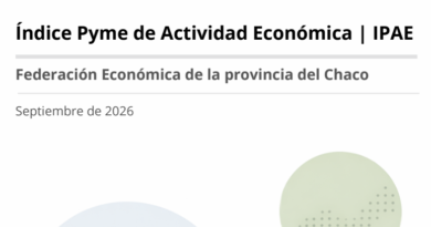 Índice Pyme de Actividad Económica (IPAE)